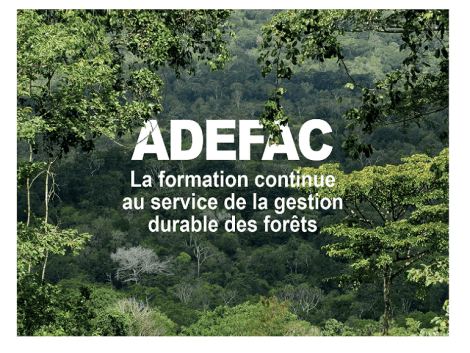 ADEFAC, the training project in Central Africa, enters its second year 