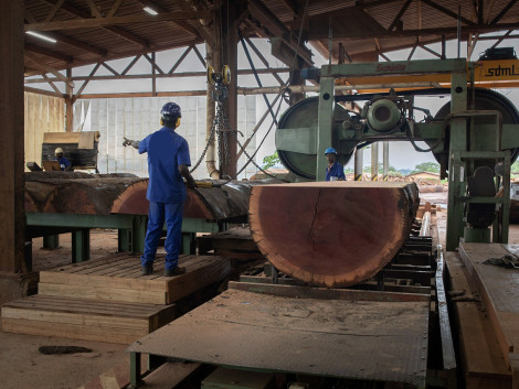 ATIBT support to the timber sector in Cameroon