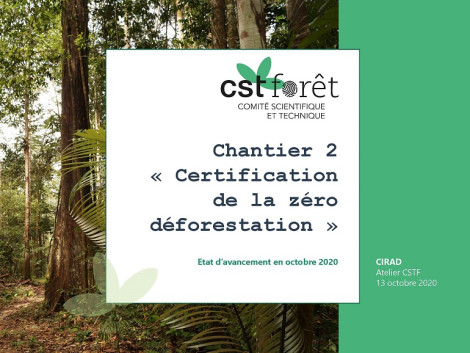 FDA’s STC for Forests, update on the "Zero Deforestation Certification" project