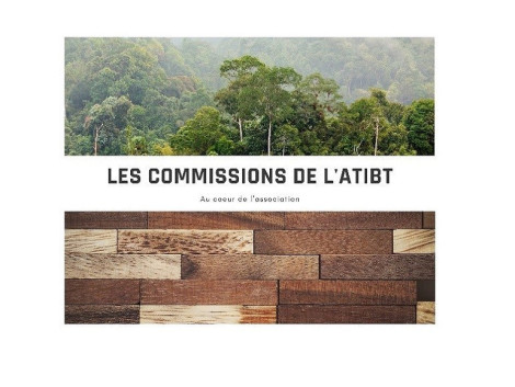 ATIBT: 1st meeting of the new " agroforestry and plantations " commission