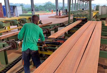 Sawmill founded on sustainable timber supply
