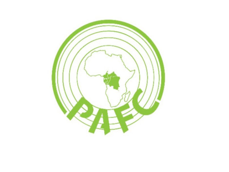 Introduction to the PAFC Congo Basin regional system