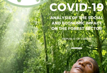 L’ATIBT publie son étude sur l’impact de la COVID-19 sur le secteur forestier en République du Congo