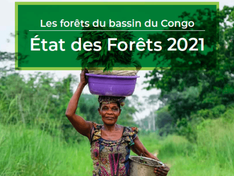 Le rapport 2021 sur l’état des forêts du bassin du Congo est disponible