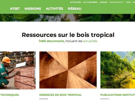 An intern at ATIBT for a better valorization of technical work on tropical timber