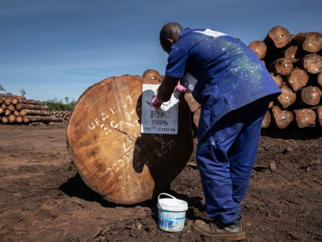 Publication : État des lieux des systèmes de traçabilité du bois dans les pays du bassin du Congo