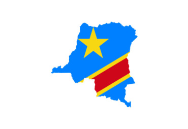 RDC : Adoption des mesures de lutte contre le bois artisanal illégal