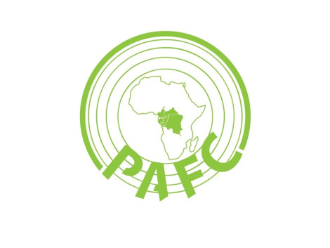 Validation of the PAFC Congo basin (PAFC CB) forest management certification standard by the regional working group (Forum)
