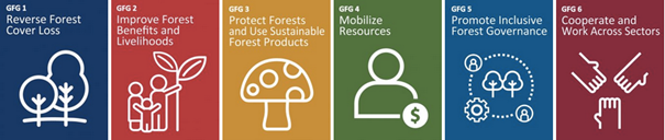 Global Forest Goals