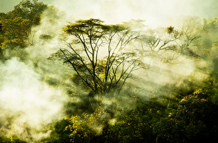 Fight against global warming Impact