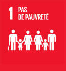 Objectif 1 : Pas de pauvreté