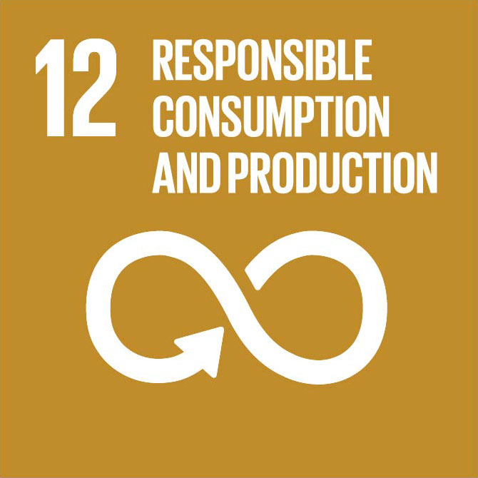 Goal 12: Responsible consumption and production