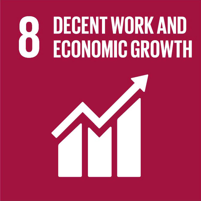 Goal 8: Decent work and economic growth