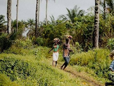 ClientEarth launches this month a consultation on women's rights in the forestry sector in Gabon and the Republic of Congo