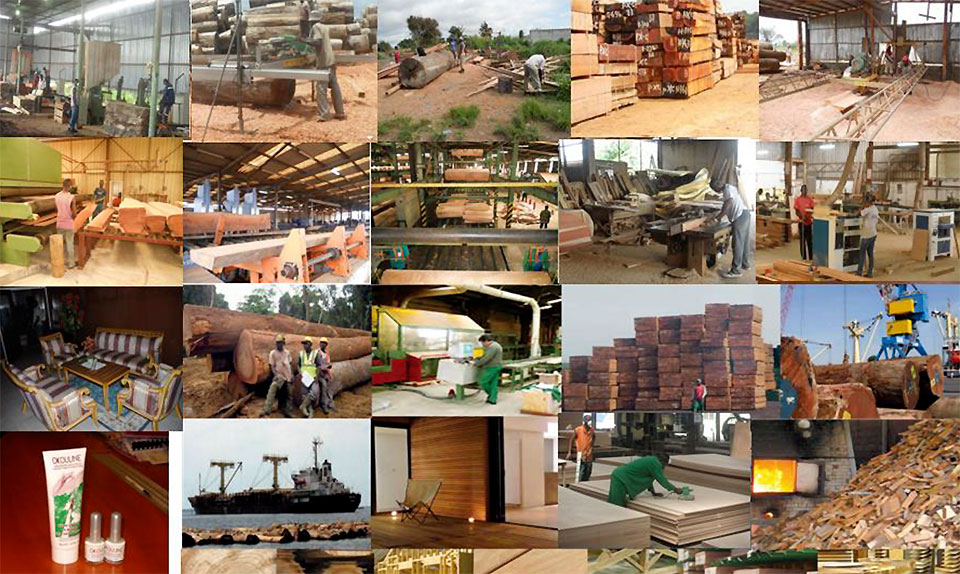 Overview of the private sector players in the Forest-Wood sector in Gabon