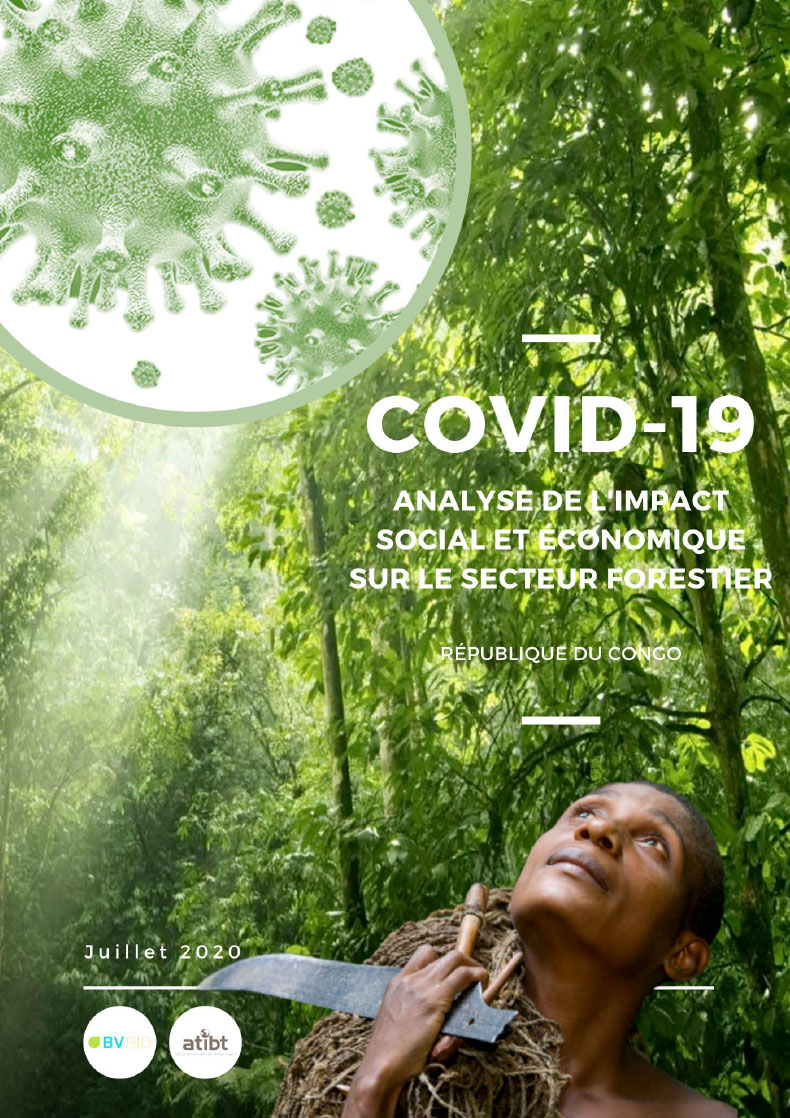 THE ANALYSIS OF THE SOCIAL AND ECONOMIC IMPACT OF COVID-19 ON THE FORESTRY SECTOR IN THE REPUBLIC OF CONGO