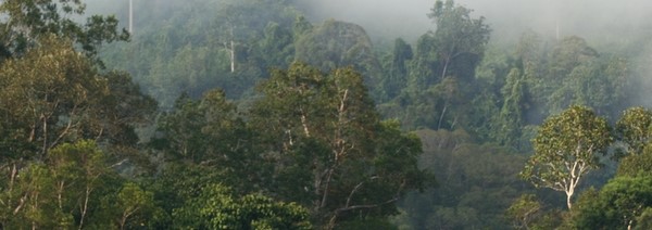 SIVL Congo deployment strategy