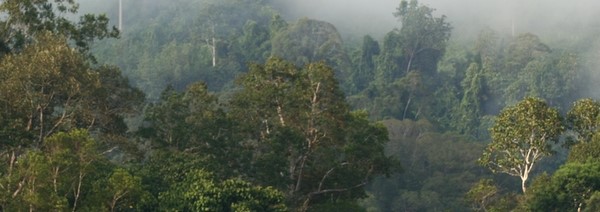 Stratégie de déploiement du SIVL Congo : Point sur le télétravail (travail à distance) en temps de COVID 19