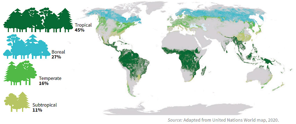 Figure 1: Proportion and distribution of global forest cover by climatic domain in 2020 (FAO, 2020, pp. 1).