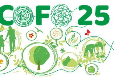 05 October 2020 - 09 October 2020 : Comité des forêts (COFO)
