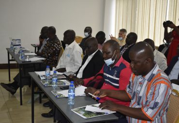 Main results of the training of SME actors of the forestry-wood sector in Congo