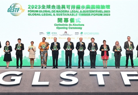 Forum mondial sur le bois légal et durable - GLSTF 2024