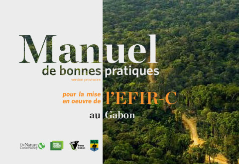 Manuel de bonnes pratiques pour la mise en œuvre de l'EFIR-C au Gabon