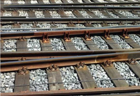 Wood as a component of the railway transition: A meeting at UIC headquarters in Paris