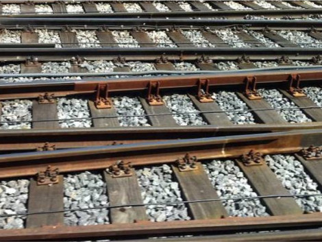 Wood as a component of the railway transition: A meeting at UIC headquarters in Paris