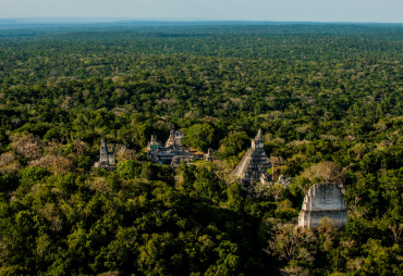 La Selva Maya : une offre issue de la foresterie communautaire pour des marchés responsables