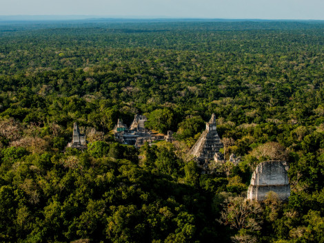 The Selva Maya: a Community Forest Management Offer for Responsible Markets