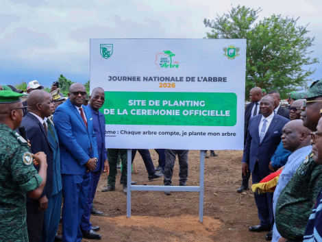À la Célébration de la Journée Nationale de l'Arbre en Côte d'Ivoire , l’ATIBT œuvre aux côtés du Ministère des Eaux et Forêts