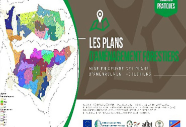 Mise en œuvre des activités des projets FLEGT REDD CERTIFICATION en RDC