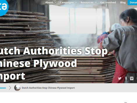 Vigilance towards Chinese plywoods 