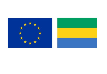 VPA FLEGT Gabon: UFIGA works for the resumption of vpa flegt negotiations between Gabon and the European Union