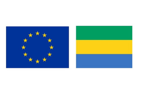 VPA FLEGT Gabon: UFIGA works for the resumption of vpa flegt negotiations between Gabon and the European Union