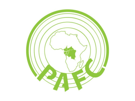 Commentaires reçus des parties prenantes durant les consultations publiques portant sur la norme de certification de gestion forestiere du schema PAFC Bassin du Congo (PAFC BC) 