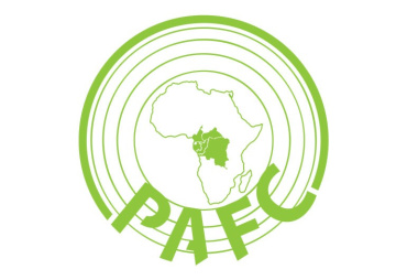 Commentaires reçus des parties prenantes durant les consultations publiques portant sur la norme de certification de gestion forestiere du schema PAFC Bassin du Congo (PAFC BC) 