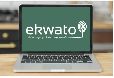 EKWATO: Risk analysis in the timber industry in real time