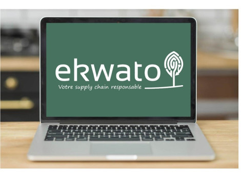 EKWATO: Risk analysis in the timber industry in real time