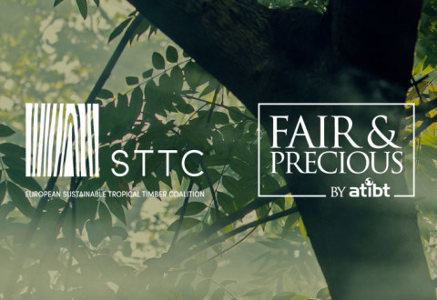 18 November 2021: STTC / Fair&Precious Conference "Sustainably managed forests as part of the solution to climate change - Recognizing the value of certified forests and ecosystem services"
