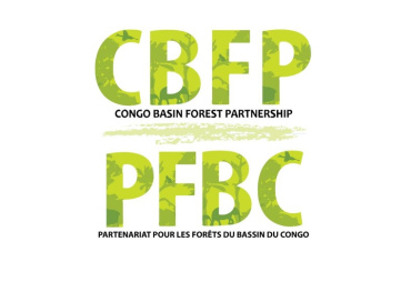 L’ATIBT présente à la 19e Réunion des Parties du PFBC Libreville avec plusieurs rencontres organisées, du 5 au 8 juillet 2022