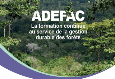 Yaoundé : Les acteurs de la transformation du bois du Cameroun et du Gabon en pleine formation-action