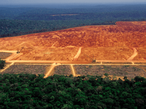 Actualisation version anglaise : Analyse - Le projet européen de lutte contre la déforestation importée : les limites d'une approche indifférenciée
