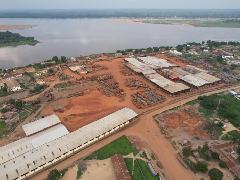 Bonne nouvelle pour la certification dans le bassin du Congo : Likouala Timber obtient sa certification légalité au Congo