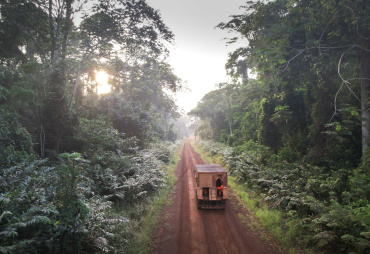 The Fair&Precious clip on sustainable tropical forest management is available