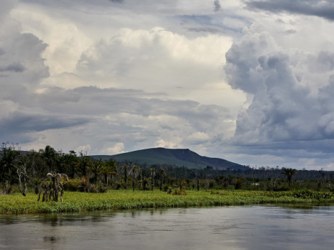 Fiscal incentives for improved forest management and deforestation-free agricultural commodities in Central and West Africa