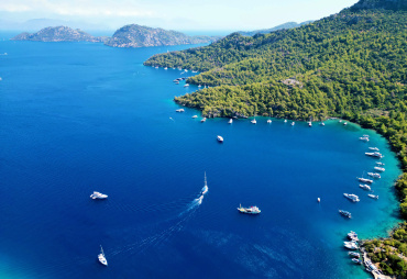 FSC® unites the yachting industry for more sustainable forestry