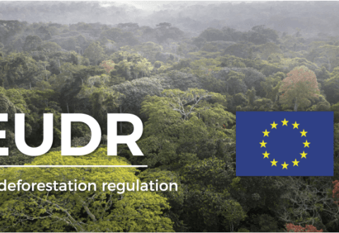Preparing for the EUDR – 4 events not to be missed in September. Mark your calendars.