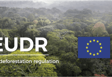 Preparing for the EUDR – 4 events not to be missed in September. Mark your calendars.